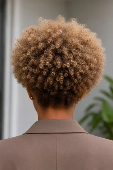 Brown Short Curly Glueless Ice Silk Wig